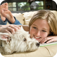 welcoming_your_pet.png