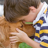 microchip pets