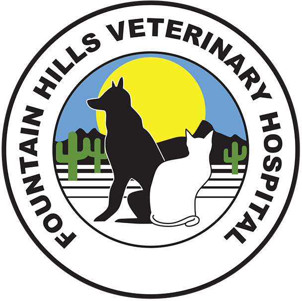 Fountain Hills Veterinary Hospital Home